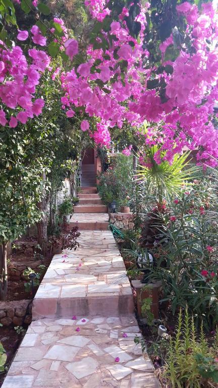 Villa Koknar Pension Kaş Esterno foto